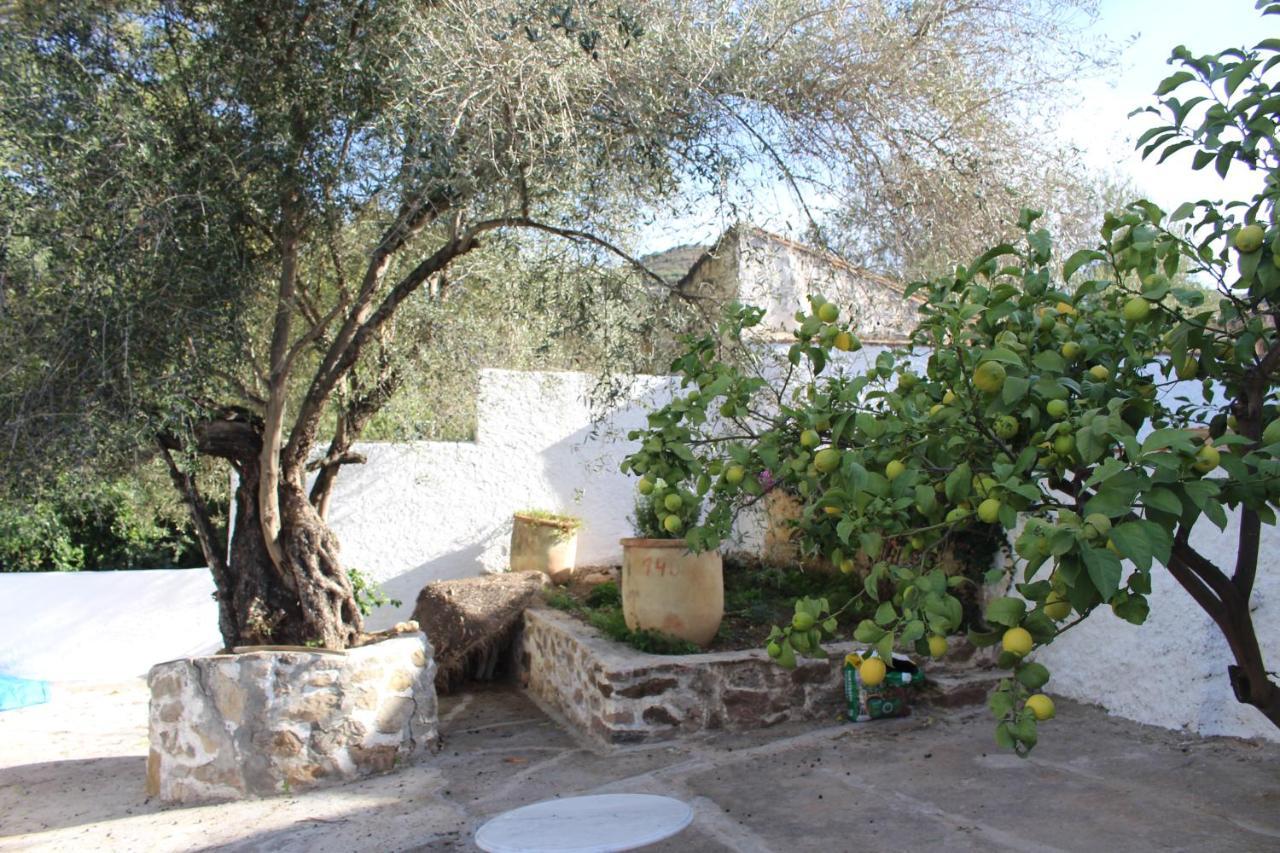 Cortijo El Puente Guest House Vinuela Ngoại thất bức ảnh